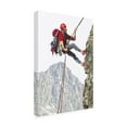 thumbnail image 4 of The Macneil Studio 'Climber' Canvas Art, 4 of 4