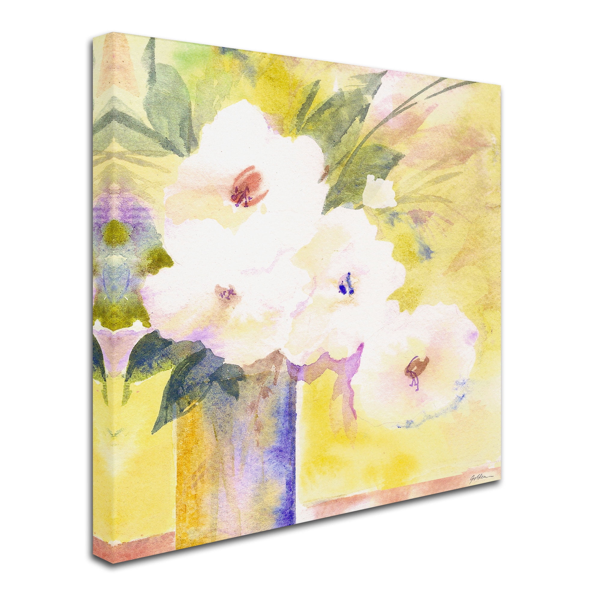 Trademark Fine Art "White Flower Shadows" Canvas Art by Sheila Golden