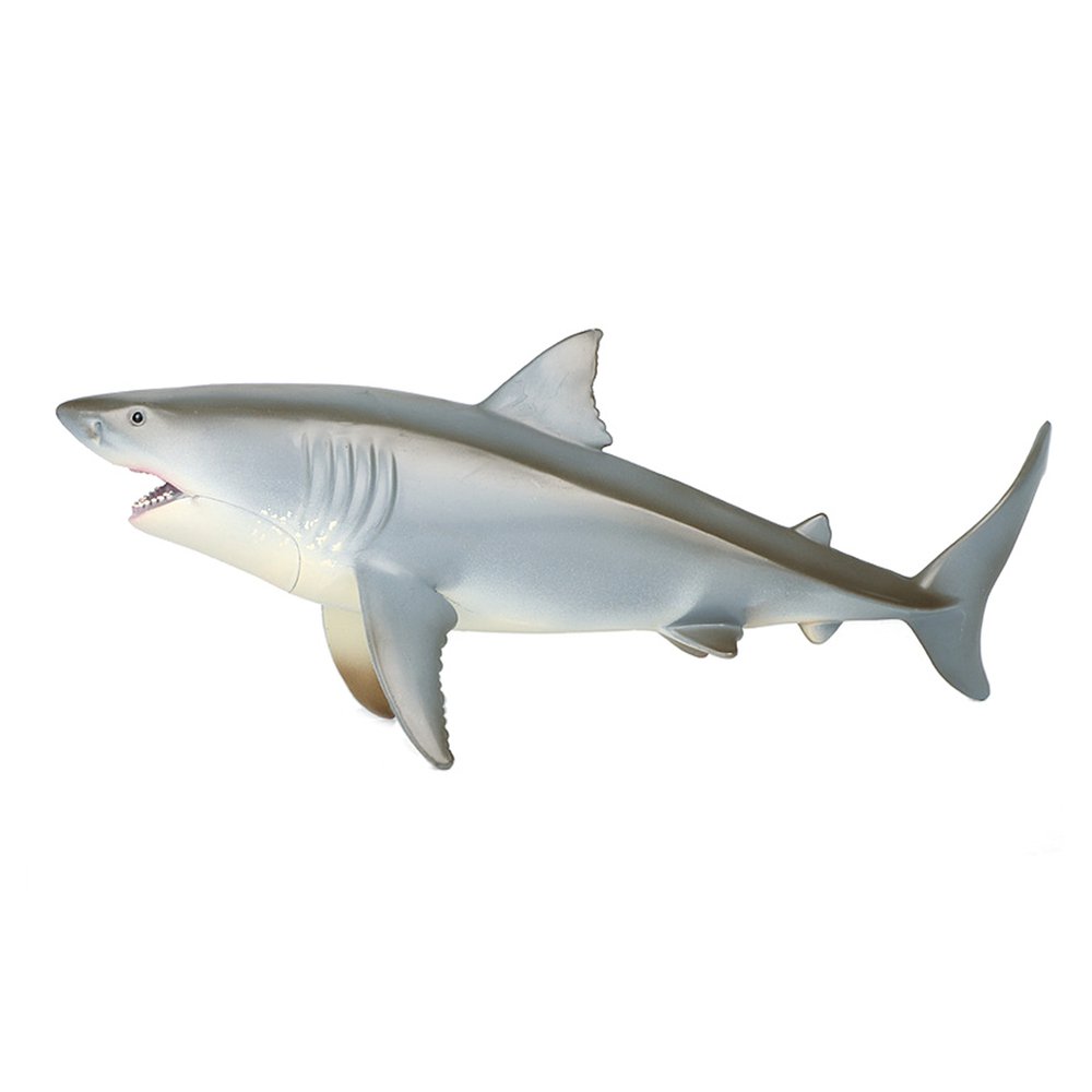 hollow shark toy