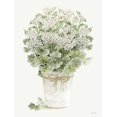 thumbnail image 2 of Jacobs, Cindy 25x32 Gold Ornate Wood Framed with Double Matting Museum Art Print Titled - White Geraniums II, 2 of 4