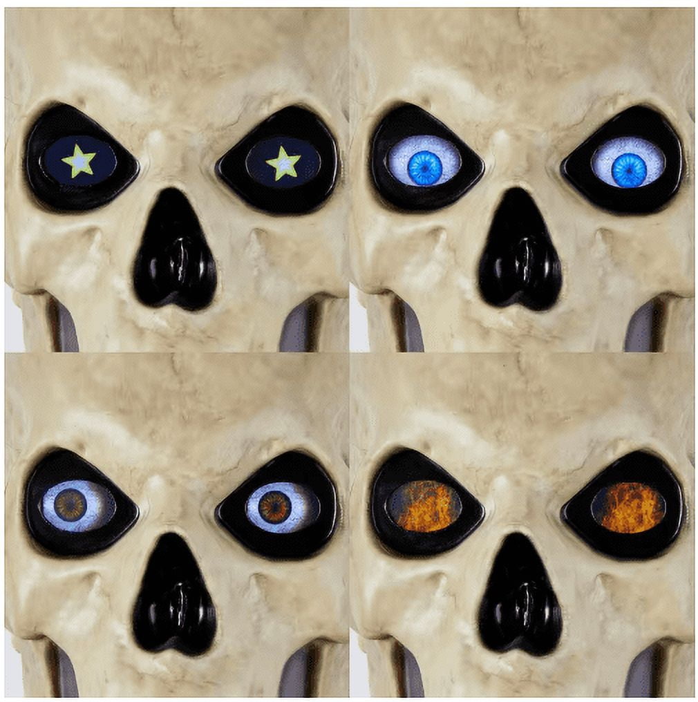 12 ft. Skelly Eye Kit - 8 Function Home Accents Holiday