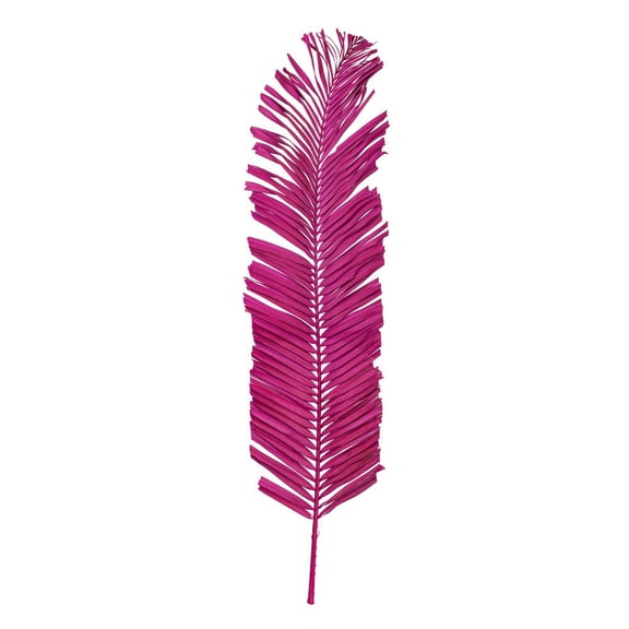 44" Raspberry Round Tip Palm Leaf 6/Bag