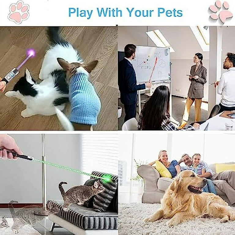 Pet laser 2025 pointer walmart