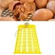 thumbnail image 4 of Bandeja de huevo Zulema Dispositivo de incubación automático con soporte de Motor, 4 of 8