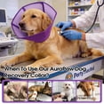 thumbnail image 4 of ROZKITCH Dog Cone Collar Stop Licking,Adjustable Elizabethan Cone for Dog After Surgery,Anti-Licking Pet Recovery Collar for Small Dogs,Purple,S, 4 of 8