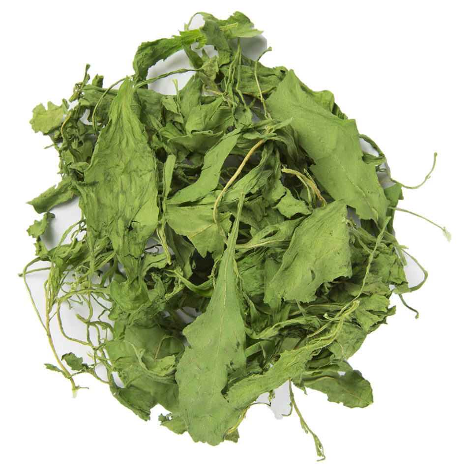 Burma Spice Dried Epazote Leaves