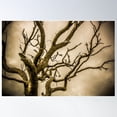 thumbnail image 2 of Ethereal Tree Poster Wall Art, Modern Wall Decor For Living Room Bedroom, 8x12 UNFRAMED, 2 of 3