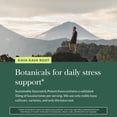 thumbnail image 5 of Gaia Herbs Kava Root - Helps Sustain a Sense of Calm, Relaxation & Support During Times of Stress* - Made with Noble Kava Cultivars - 1 Fl Oz (30 Servings), 5 of 10