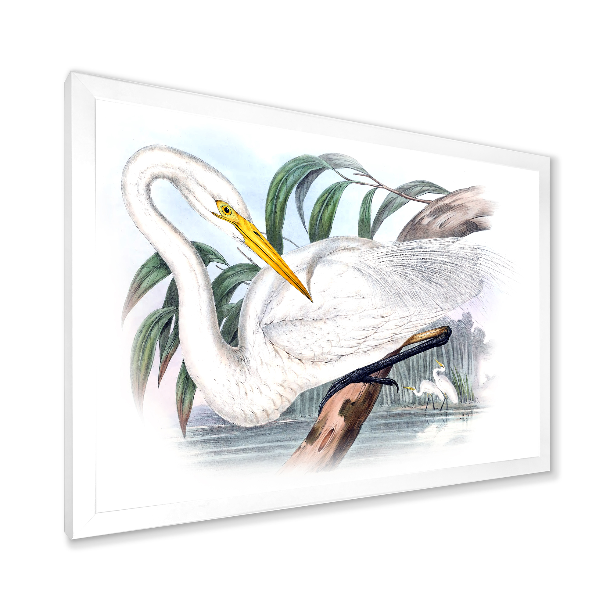 Designart 'Ancient Australian Birds IV' Traditional Framed Art Print