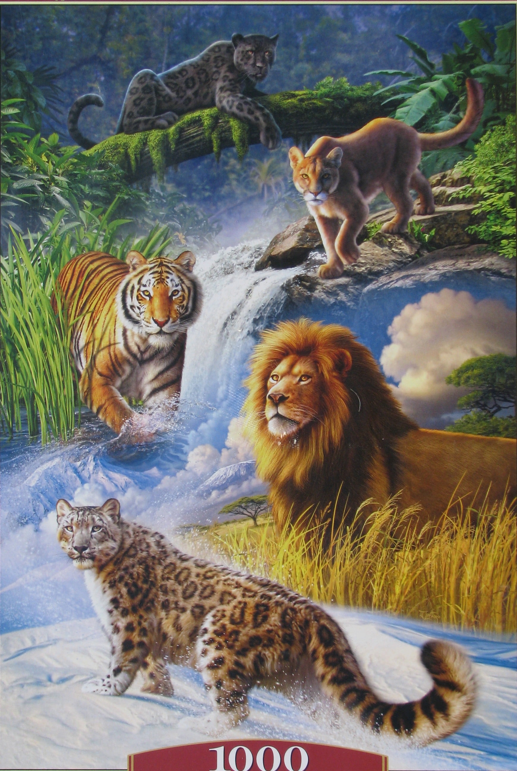 Picture Poster African Wild Big Cats Gerahmter Print Lion Leopard Tiger 