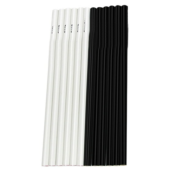 12Pcs Professional White and Black Charcoal Pencils Set Sketch Highlight Colored Pencils for Sketching Shading Blending