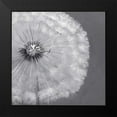 thumbnail image 2 of Atelier B Art Studio 20x20 Black Modern Framed Museum Art Print Titled - Dandelion Puff Ball, 2 of 5