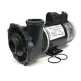 thumbnail image 1 of Waterway Executive 4 HP 2 Speed Spa Circulation Pump (2 Inch Connections, 240 V), 1 of 1