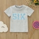 thumbnail image 4 of Blusa Manga Larga Niños Gibobby camiseta de Manga corta bordado letras gris 18-24 meses, 4 of 5