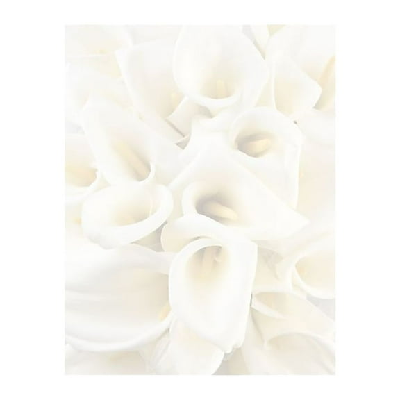 Great Papers White Calla Lilies Letterhead 80 count 2014286