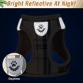 thumbnail image 5 of PUPTECK Soft Mesh Cat Harness and Leash Set, Escape Proof Vest Harnesses for Outdoor Walking with Classic Plaid Pattern Adjustable Breathable, 5 of 7