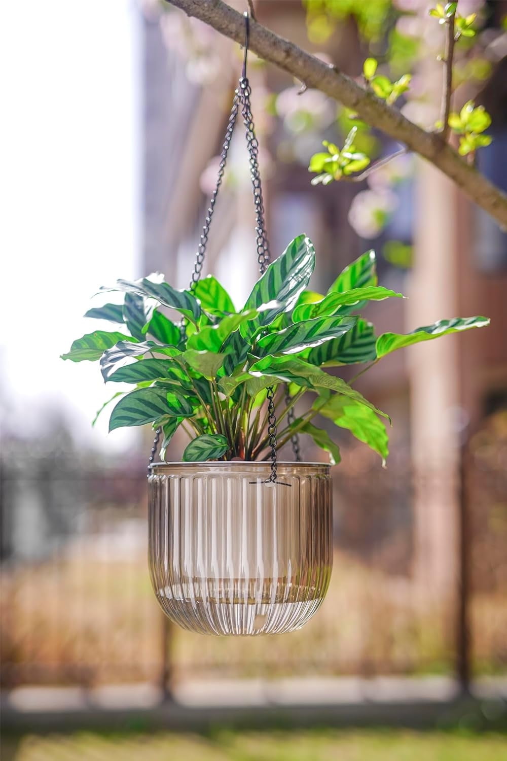 Scheam 3 Pack Hanging Pots with Drainage Holes,Self Watering Hanging Planters,Plastic Hanging Pot,Prefect for Spring Indoor Outdoor Garden Home Decorations (Emerald,Gray,Clear)