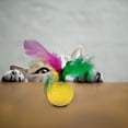 thumbnail image 4 of Juego de juguetes interactivos para mascotas, peces multicolores resistentes al desgaste x21, 4 of 4