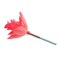 thumbnail image 4 of Decoración Sin Manchar Artificial Real Artificial De Del, 4 of 7