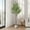 Style 04, variant on Colourtree 59" Artificial Olive Tree with Pot - Faux Silk Leaves & Fruits for Living Room Decor, Indoor Modern Home Decoration - Pot Style 01