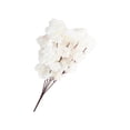 thumbnail image 2 of Toystoory 2 piezas de flores de cerezo artificiales, flores de seda falsas, tallos de imitación, jardín, hogar, ramo, guirnalda, decoración Decoración Blanco, 2 of 6