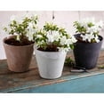 thumbnail image 4 of Root & Vessel Cali Round Planter, Mint, 8", 4 of 7
