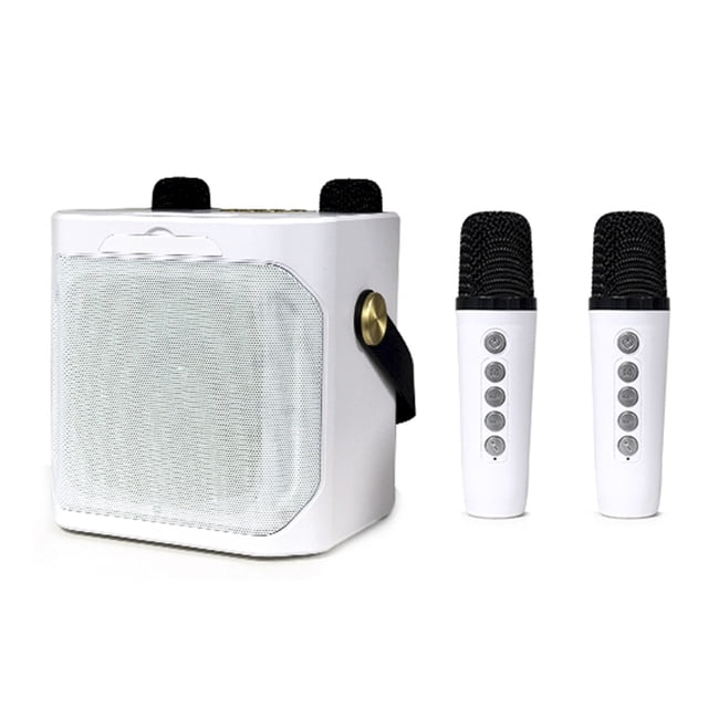 Haut-parleur Karaoké Portable 10 W avec 2 Micros Sans Fil - Bluetooth 5.3, Son Surround à 360°, Écho DSP, Double Microphone Chorus, Blanc, pour Cinéma Maison et Fête en Plein Air
