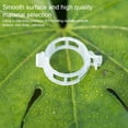thumbnail image 3 of Shengyu 200 Pieces Plant Support Clip Solid Color Anti-rust Gardening Ring Transparent White, 3 of 6