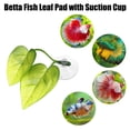 thumbnail image 2 of 2uds Betta Pez Hoja Almohadilla con Ventosa, Verde, 2.48x1.77, 2 of 7