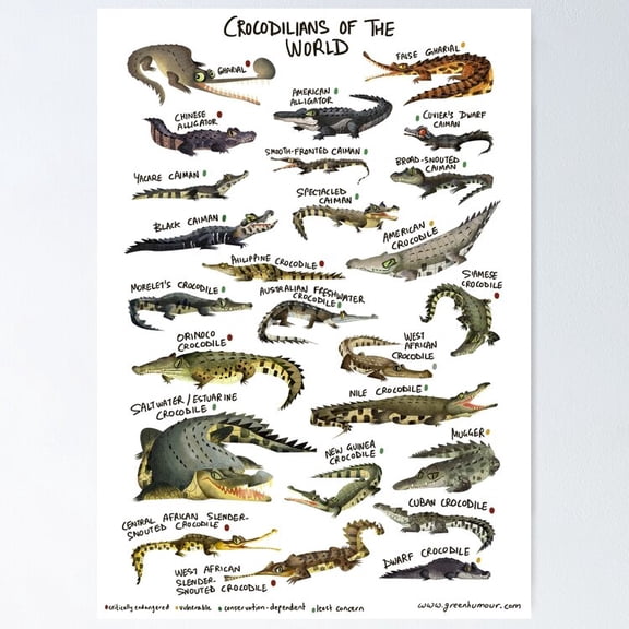 Poster Crocodilians Of The World - No Framed, Vintage Wall Art, Trendy Retro Print, Positive Quote Poster, Room Decor, Wall Art, 8x12