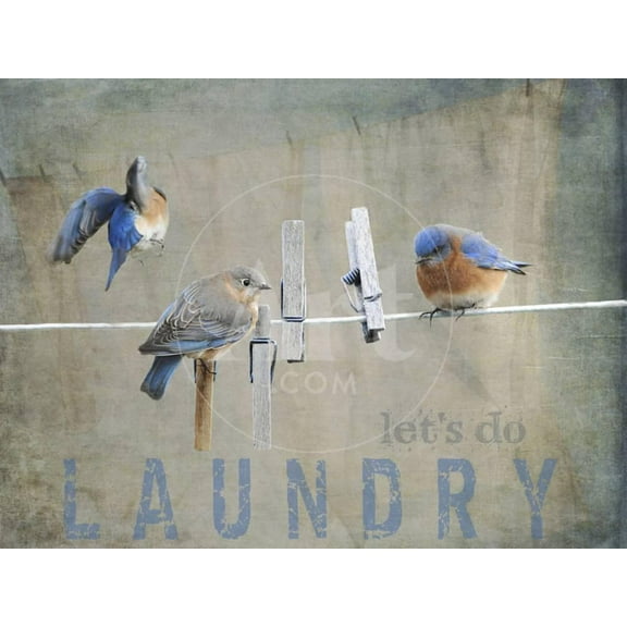 Laundry Day Bluebirds, Animals Unframed Giclee Print Wall Art by Jai Johnson Sold by Art.Com