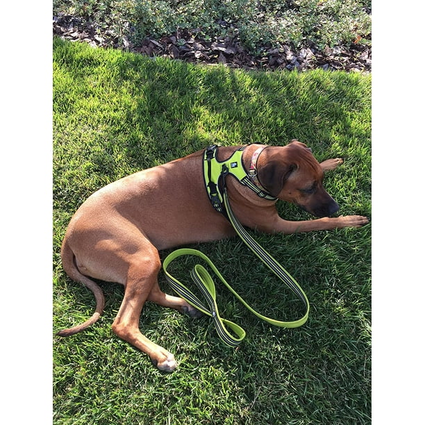 HAHDAXIA Premium Outdoor Adventure Dog Harness 3M Reflective Vest with Two Leash Clips Matching Leash and Collar Available Lemon Lime X Small