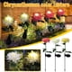 thumbnail image 1 of Xihbxyly Lámpara Solar de Crisantemo, Led para Decoración de Jardín Exterior, Diseño Duradero de Acero Inoxidable, Recargable con Energía Solar, Iluminación Nocturna Brillante, Ideal para Jardín, Cam, 1 of 1