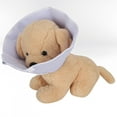 thumbnail image 3 of Collier Cône pour Chat, Collier pour Animal de Compagnie, Collier Cône pour Chien S, 3 of 8