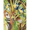 thumbnail image 1 of Parrots Flag Garden Size, 1 of 1