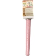 Penn-Plax Cement Perch, Conditions Birds Leg Muscles, 10-Inch, BA083