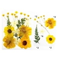 thumbnail image 1 of Natural Real Dried Flower Plants For Candle Epoxy Resin Jewelry Making Craft DIY, 1 of 7