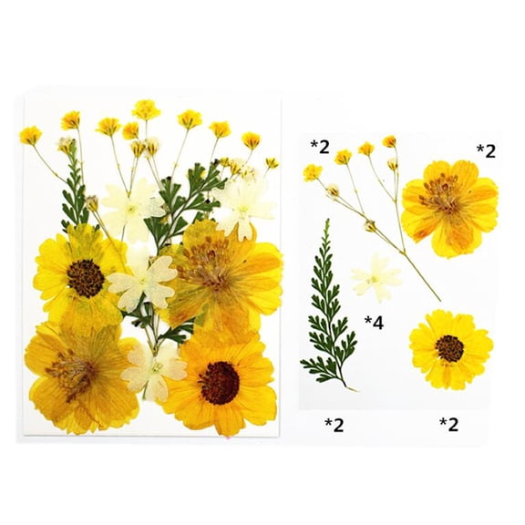 1 Pack Dried Flower Natural Dry Plants For Craft DIY Materia Accessories