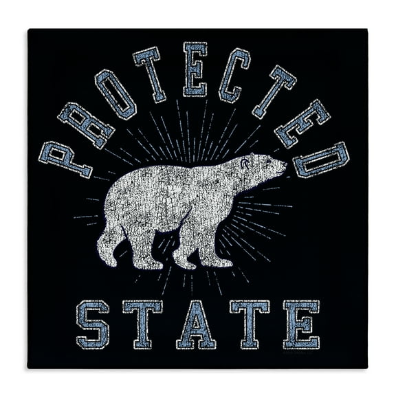 Stupell Industries Polar Bear Protected State Animals Painting Wrapped Canvas Art Print Wall Art, 17 x 17