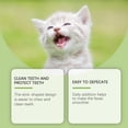 thumbnail image 6 of Grass Teething Stick for Cats, Natural Air-Dried Grass Chew Toy for Hairball Control and Dental Cleaning, 5 Pcs, 6 of 9
