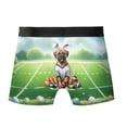 thumbnail image 2 of Happy Easter Hello Spring Bullmastiff Playing Football All Over Print Boxer Briefs Underwear for Men Dad Dog Lover - 13003, 2 of 6