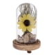 thumbnail image 1 of Micropaisaje de girasol seco en botella de vidrio Amarillo, 1 of 9