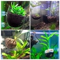 thumbnail image 2 of Maceta para plantas acuáticas Capetsma Crystal Glass, pecera con camarones rojos, 2 of 8