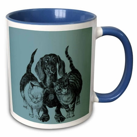 3dRose Best Buddies Dog with Two Cats Trio - Pets and Animals - Two Tone Blue Mug, (Best Buddies Pet Services)