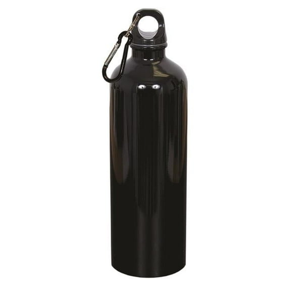 750 ml 25 oz Stainless Steel Water Bottle - Black