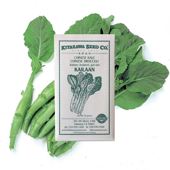 Broccoli Seeds - Chinese Broccoli - Kailaan -3 g Packet ~972 Seeds - Non-GMO, Heirloom - Asian Garden Vegetable & Microgreens