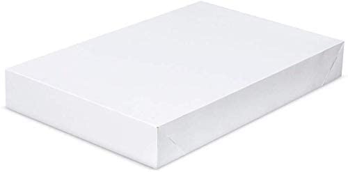 Black Duck Brand White Paper Gift Boxes - 10 Count photo 3