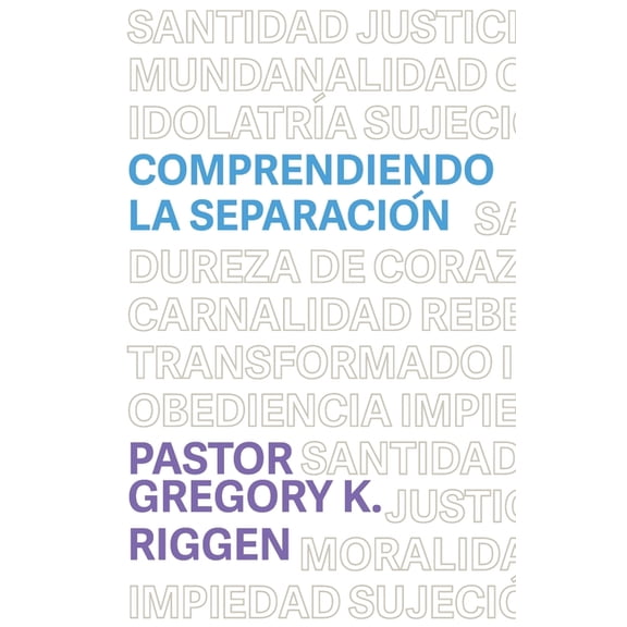Comprendiendo la SeparaciÃ³n, (Paperback)