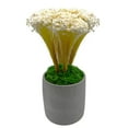 thumbnail image 4 of Bergamo Art 450g Preserved Reindeer Moss in Emerald Green, 4 of 4