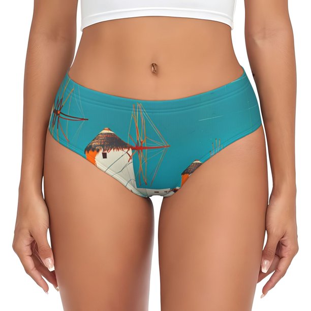 Fotbe Colorful Greek Windmills Calzones Estampados para Mujer – Ropa Interior de Algodón, Cómoda, Suave y Elástica-Small